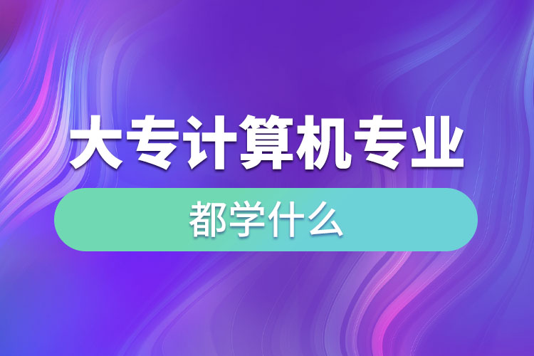 大專計算機專業(yè)都學什么