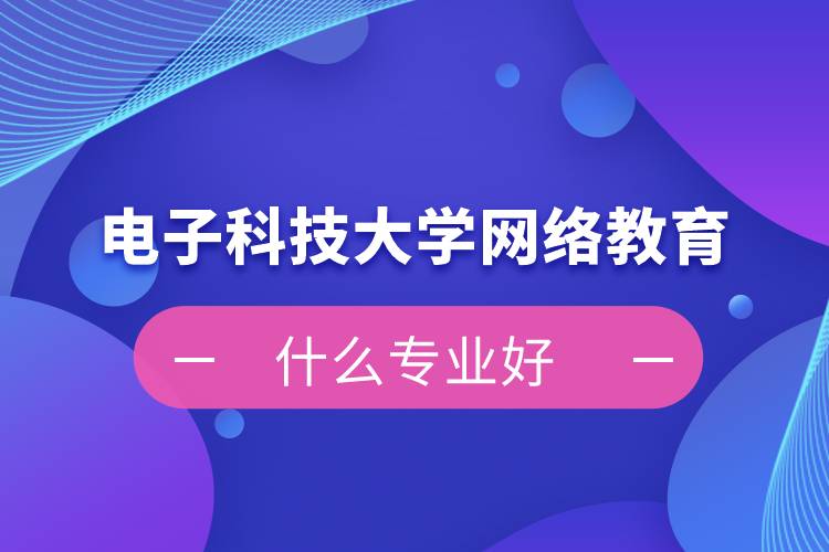 電子科技大學網(wǎng)絡教育什么專業(yè)好