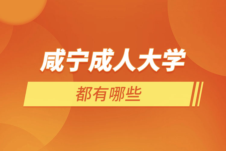 咸寧成人大學(xué)都有哪些？