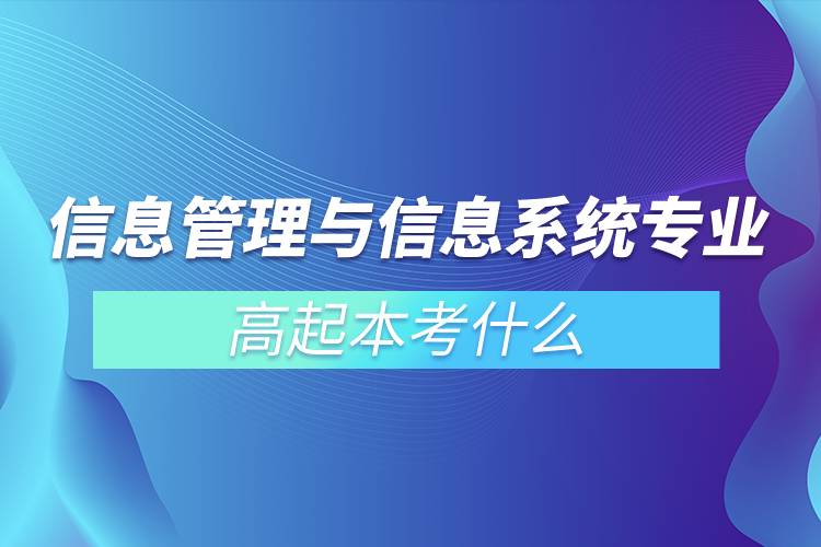 信息管理與信息系統(tǒng)專業(yè)高起本考什么