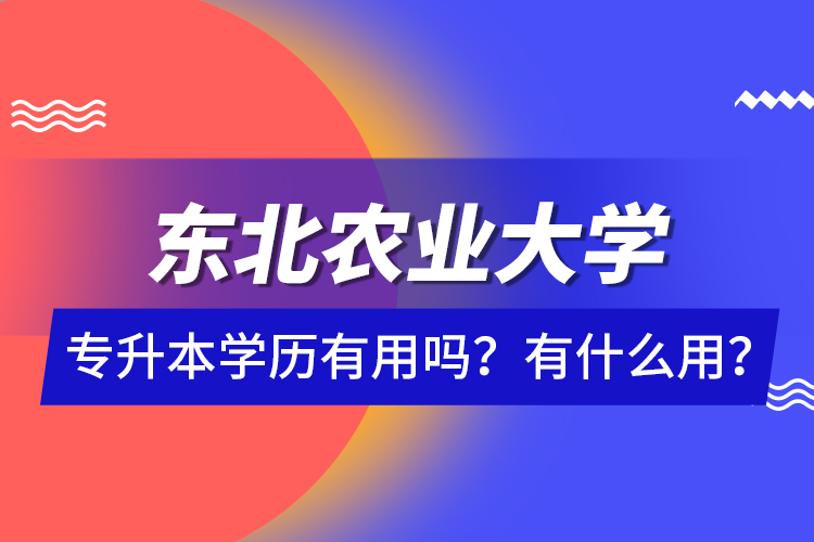 東北農(nóng)業(yè)大學(xué)專(zhuān)升本學(xué)歷有用嗎？有什么用？
