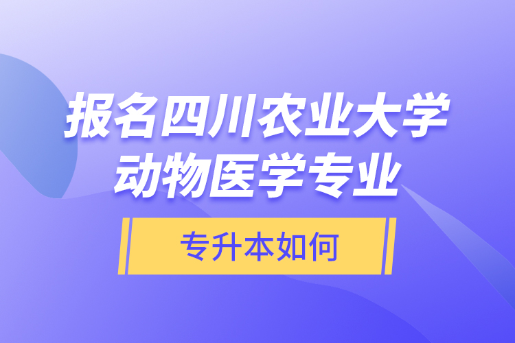 報(bào)名四川農(nóng)業(yè)大學(xué)動(dòng)物醫(yī)學(xué)專業(yè)專升本如何？