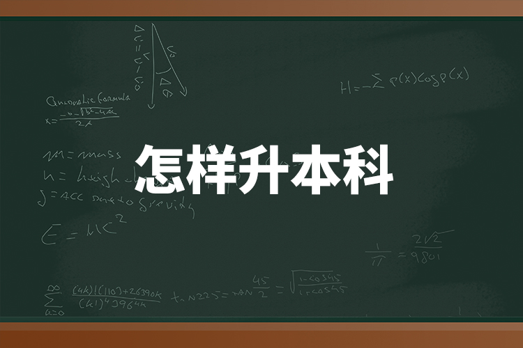 怎樣升本科？